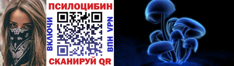 где купить наркотик Клин Галлюциногенные грибы прущие грибы